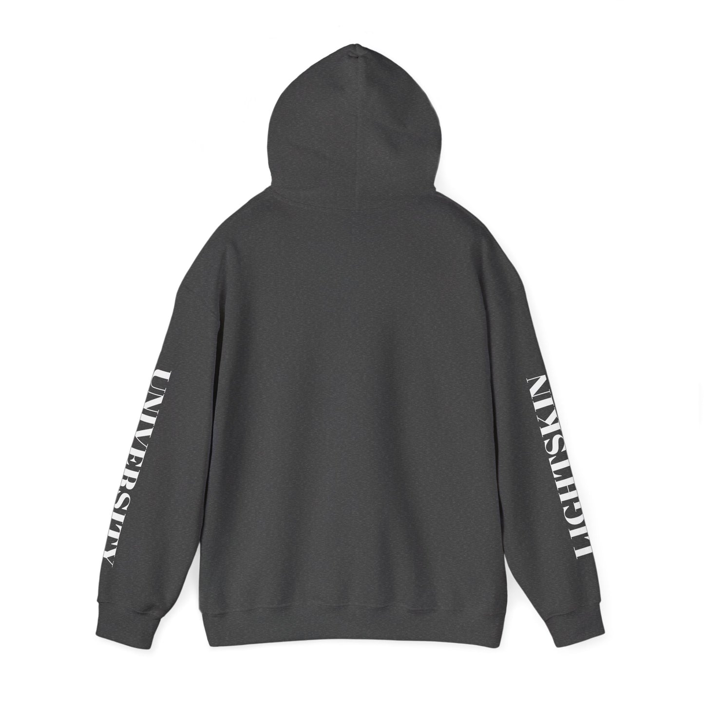 Lightskin University Hoodie
